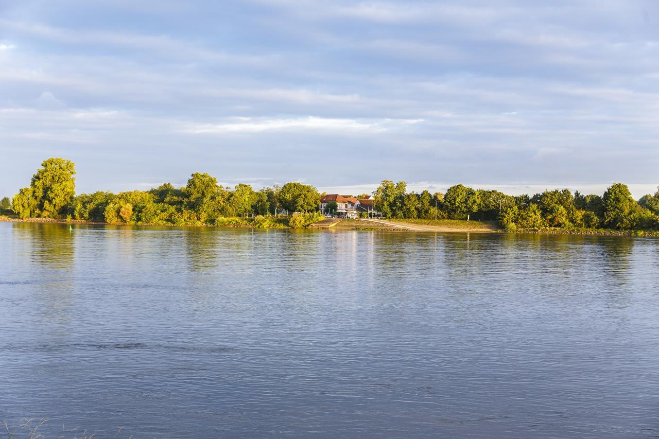 Hotel Rheingold Gernsheim Exteriér fotografie