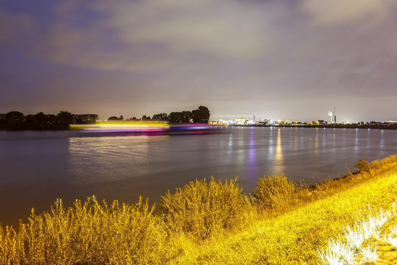 Hotel Rheingold Gernsheim Exteriér fotografie